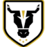 公牛学院女足logo
